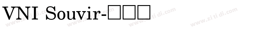 VNI Souvir字体转换